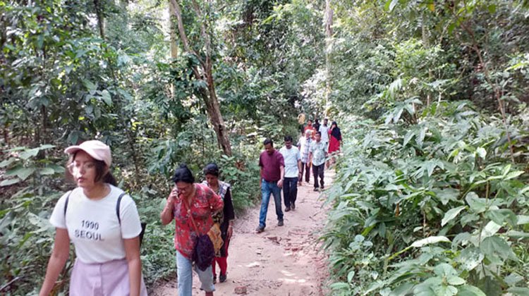 লাউয়াছড়ায় বাড়ছে পর্যটকদের পদচারনা