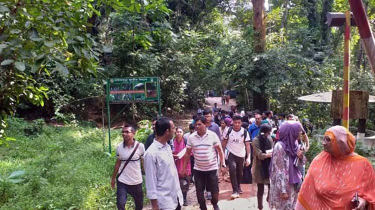 শ্রীমঙ্গলে পর্যটকের ঢল