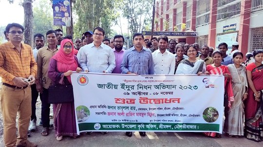 ইঁদুরের কারণে বছরে প্রায় ২ হাজার ৯০০ কোটি টাকার ফসল নষ্ট