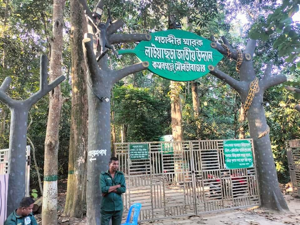 হরতাল অবরোধের কারণে শ্রীমঙ্গলে পর্যটকদের দেখা মিলছেনা। পর্যটক না আসায় এ খাতের ব্যবসায়ীরা হতাশ