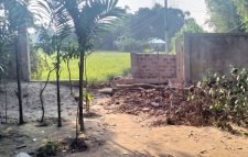 কমলগঞ্জে গাছ কর্তন, নারীকে মারধর ও শ্লীলতাহানির অভিযোগ