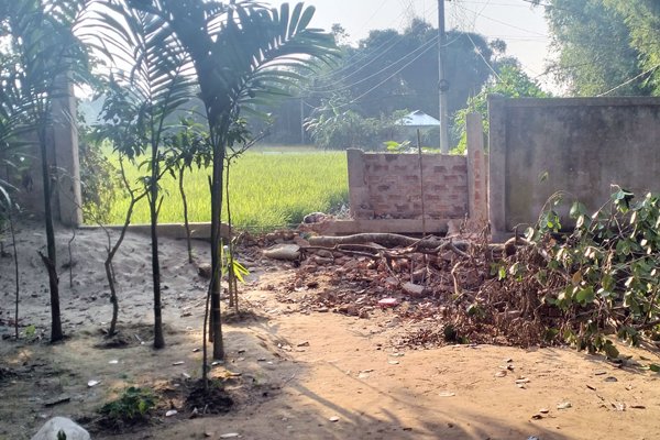 কমলগঞ্জে গাছ কর্তন, নারীকে মারধর ও শ্লীলতাহানির অভিযোগ