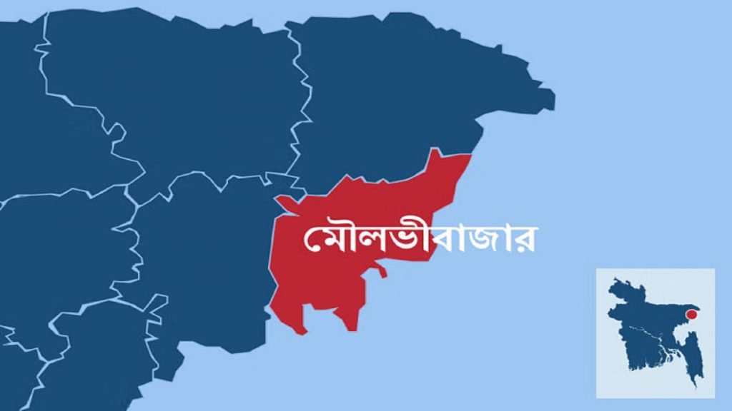 মৌলভীবাজার-২ আসনে ৭ প্রাথীর মনোনয়ন সংগ্রহ