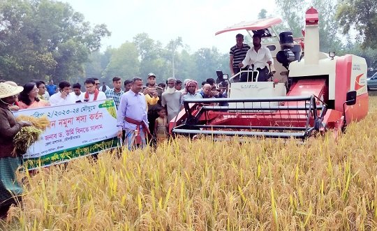 শ্রীমঙ্গলে ধান কাটা উদ্বোধন করলেন ডিসি
