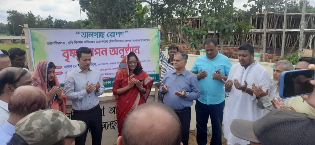 মাতারকাঁপন গ্রামে তাল গাছের চারা  বিতরণ