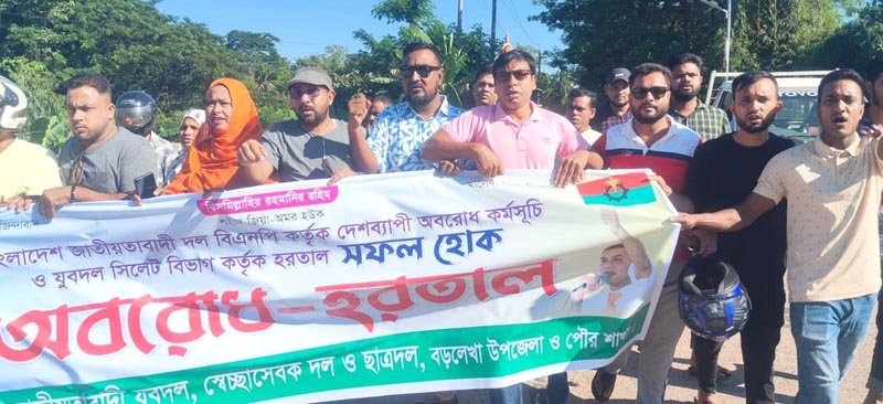 বড়লেখায় বিএনপি যুবদলের বিক্ষোভ মিছিল