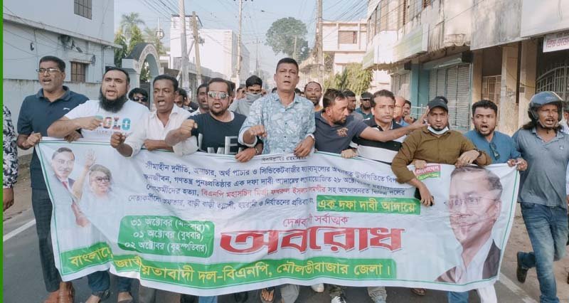 বিএনপির পৃথক বিক্ষোভ সমাবেশ