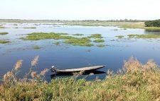 চোর চক্রের হাতে জিম্মি বাইক্কা বিল