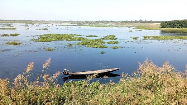 চোর চক্রের হাতে জিম্মি বাইক্কা বিল