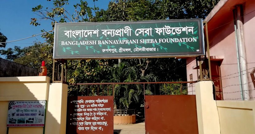 বিজয় দিবসে পর্যটকদের জন্য উন্মুক্ত শ্রীমঙ্গলের সীতেশ বাবুর চিড়িয়াখানা