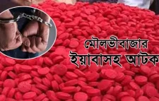 মৌলভীবাজারে ৪শ পিস ইয়াবাসহ আটক ১