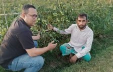 হাইব্রিড জাতের টমোটো চাষে লাভবান কৃষক আবু তাহের