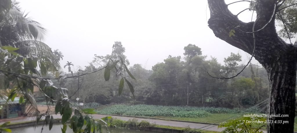 মৌলভীবাজারে সারাদিন গুড়িগুড়ি বৃষ্টিতে জনজীবনে স্থবিরতা