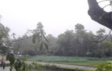 মৌলভীবাজারে সারাদিন গুড়িগুড়ি বৃষ্টিতে জনজীবনে স্থবিরতা