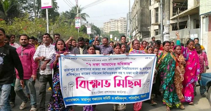 তারাপুর চা বাগানের সঙ্কট কাটেনি