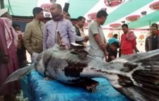 শেরপুরে জমজমাট ‘মাছের মেলা’