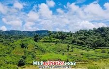 ঘুমধুম সীমান্তে ৪০০ চাকমা বাংলাদেশে অনুপ্রবেশের অপেক্ষায়