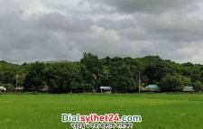 সীমান্তে এক দিনে ৫ বাংলাদেশি গুলিবিদ্ধ