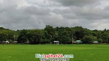 সীমান্তে এক দিনে ৫ বাংলাদেশি গুলিবিদ্ধ