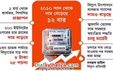 মার্চ থেকে বাড়ছে বিদ্যুতের দাম