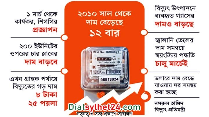 মার্চ থেকে বাড়ছে বিদ্যুতের দাম