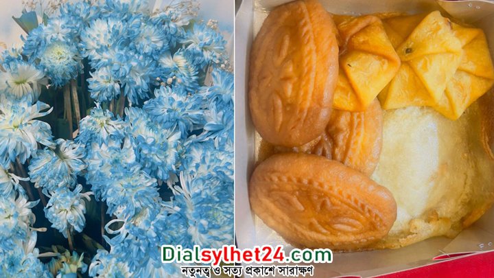 নির্বাচন বর্জনকারী দলগুলোকে শীতের পিঠা উপহার বিএনপির