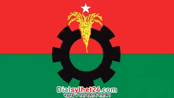 বিএনপির ভাবনায় দল পুনর্গঠন