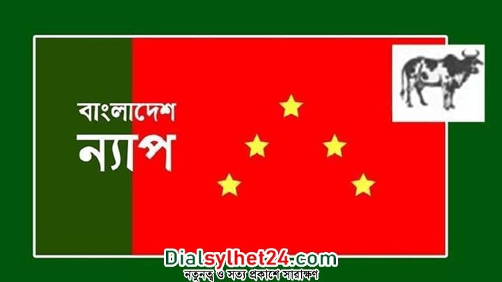 বিদ্যুতের মূল্যবৃদ্ধির সিদ্ধান্ত আত্মঘাতী হবে : বাংলাদেশ ন্যাপ