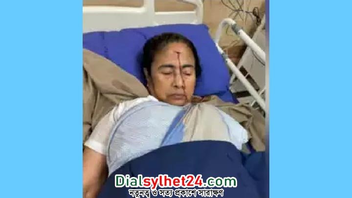 মাথায় আঘাত পেয়ে হাসপাতালে ভর্তি মমতা বন্দ্যোপাধ্যায়