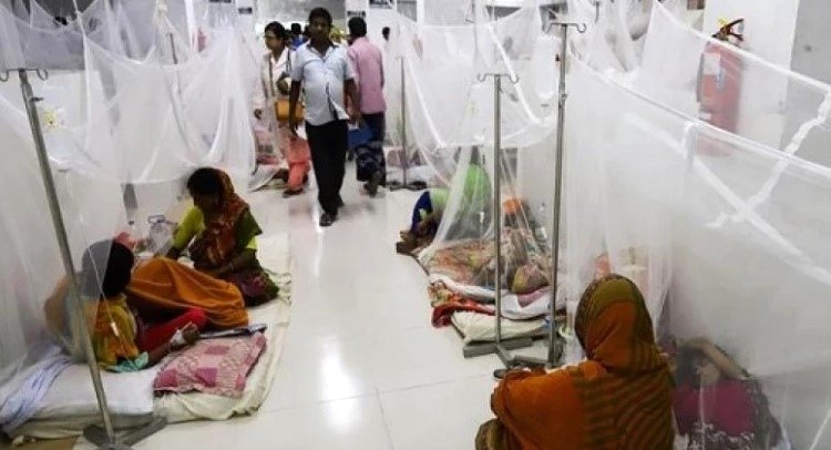 দেশে গত ২৪ ঘণ্টায় ডেঙ্গুতে ৬ জনের মৃত্যু