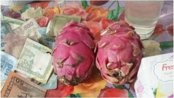 মৌলভীবাজারে দান করা দুটি ড্রাগন ফল ৪৫ হাজার টাকায় বিক্রি