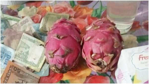 মৌলভীবাজারে দান করা দুটি ড্রাগন ফল ৪৫ হাজার টাকায় বিক্রি