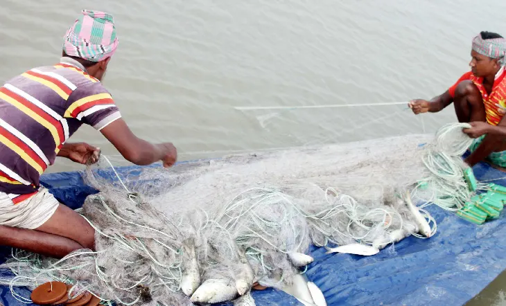 আজ মধ্যরাত থেকে ইলিশ ধরায় ২২ দিনের নিষেধাজ্ঞা