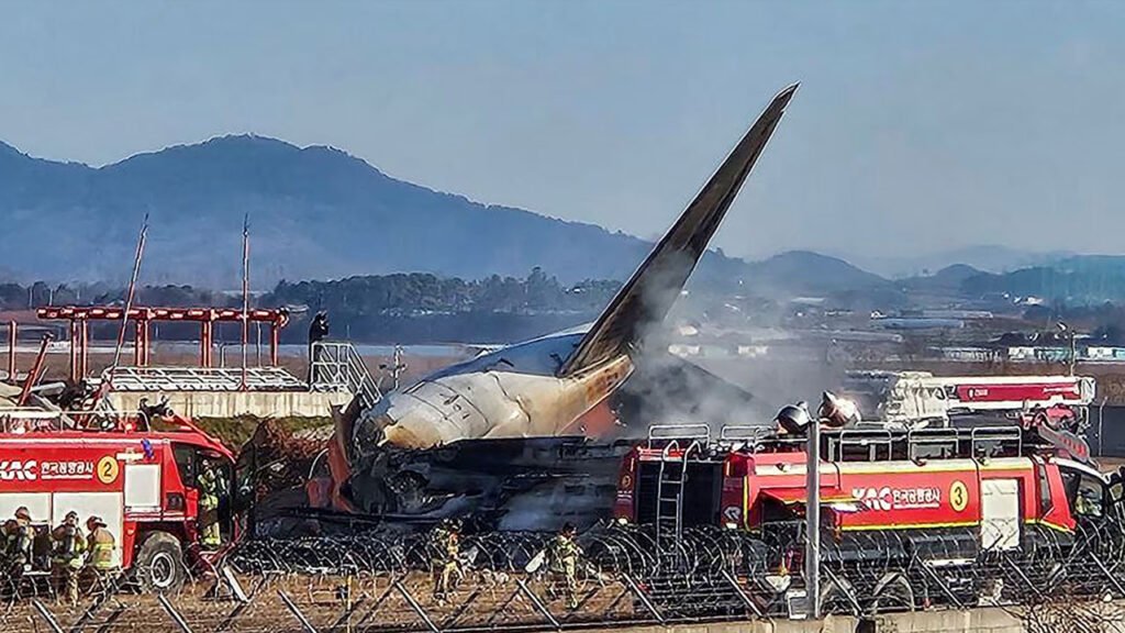 পাখির সঙ্গে ধাক্কা লেগে দক্ষিণ কোরিয়ায় মর্মান্তিক বিমান দুর্ঘটনা, নিহত বেড়ে ১৫১