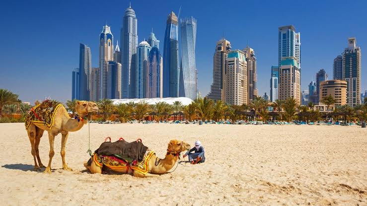 খুলছে আমিরাতের ভিজিট ভিসা, ওয়ার্ক ভিসাও চালুর ইঙ্গিত