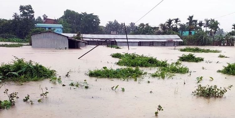 মৌলভীবাজারে বাড়ছে নদীর পানি, বন্যার আশঙ্কা