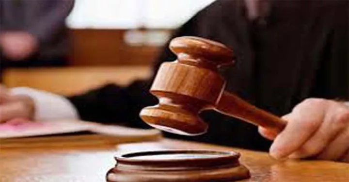 বিএনপির সাধারণ সম্পাদক মো. লিলু মিয়াকে জুতাপেটার দায়ে সাবেক উপজেলা চেয়ারম্যা কারাদণ্ড