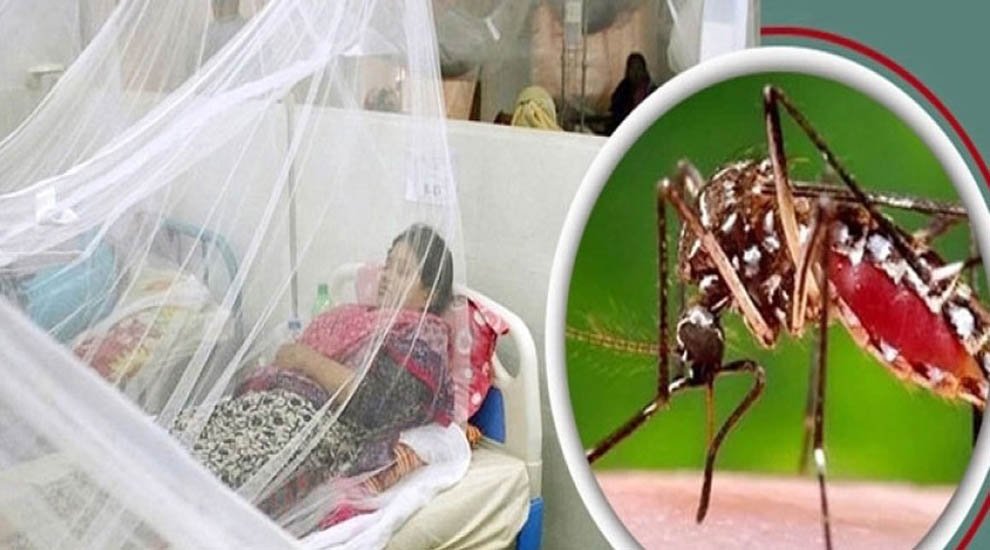 গত ২৪ ঘন্টায় আরও তিনজনের ডেঙ্গু সনাক্ত হয়েছে সিলেটে