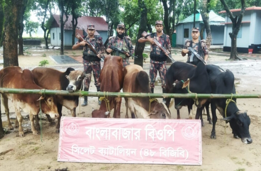 দোয়ারাবাজার সীমান্তে ১৪ লাখ টাকার চোরাই পণ্য আ ট ক