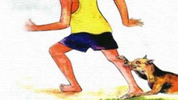 অবাধে ঘুরে বেড়ানো বেওয়ারিশ কুকুরের অন্তত ১১ জন পথচারী আহত