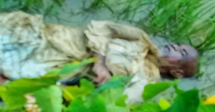 সিলেটের জকিগঞ্জে কৃষিজমি থেকে এক বৃদ্ধের মরদেহ উদ্ধার করেছে পুলিশ