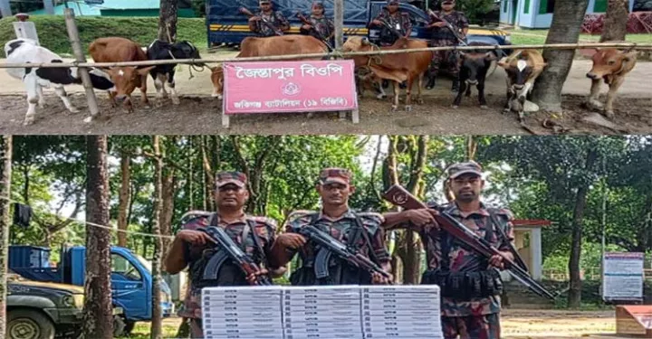 বিজিবি অভিযানে ৩৭ লাখ টাকার ভারতীয় চোরাই পণ্য জব্দ সিলেট