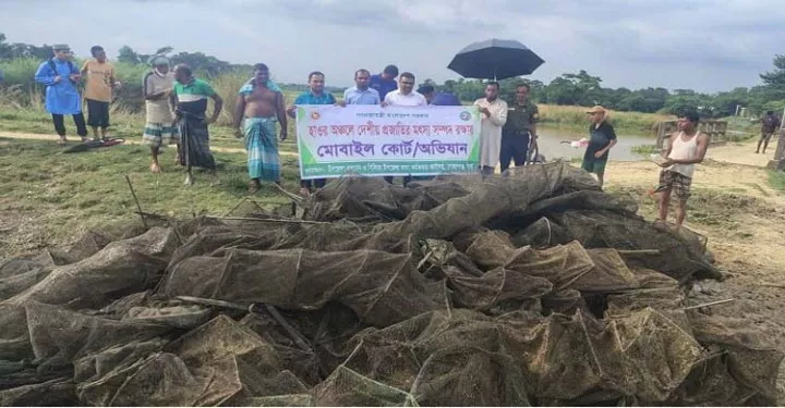 গোলাপগঞ্জে হাওরে অভিযান চালিয়ে ২৬টি চায়না দোয়ারি জাল  জব্দ ও ধ্বংস