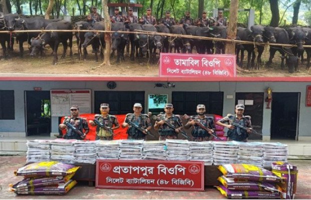 সিলেট ব্যাটালিয়ন (৪৮ বিজিবি) কর্তৃক বিপুল পরিমাণ চোরাচালানী মালামাল আটক
