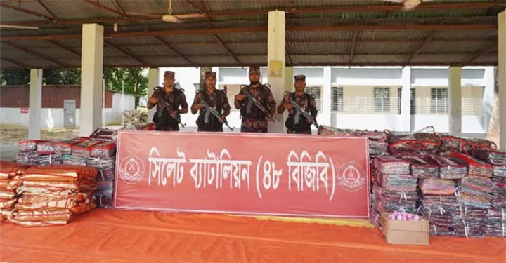 বিপুল পরিমাণ ভারতীয় পণ্য ও পশু জব্দ করেছে ৪৮ বিজিবি